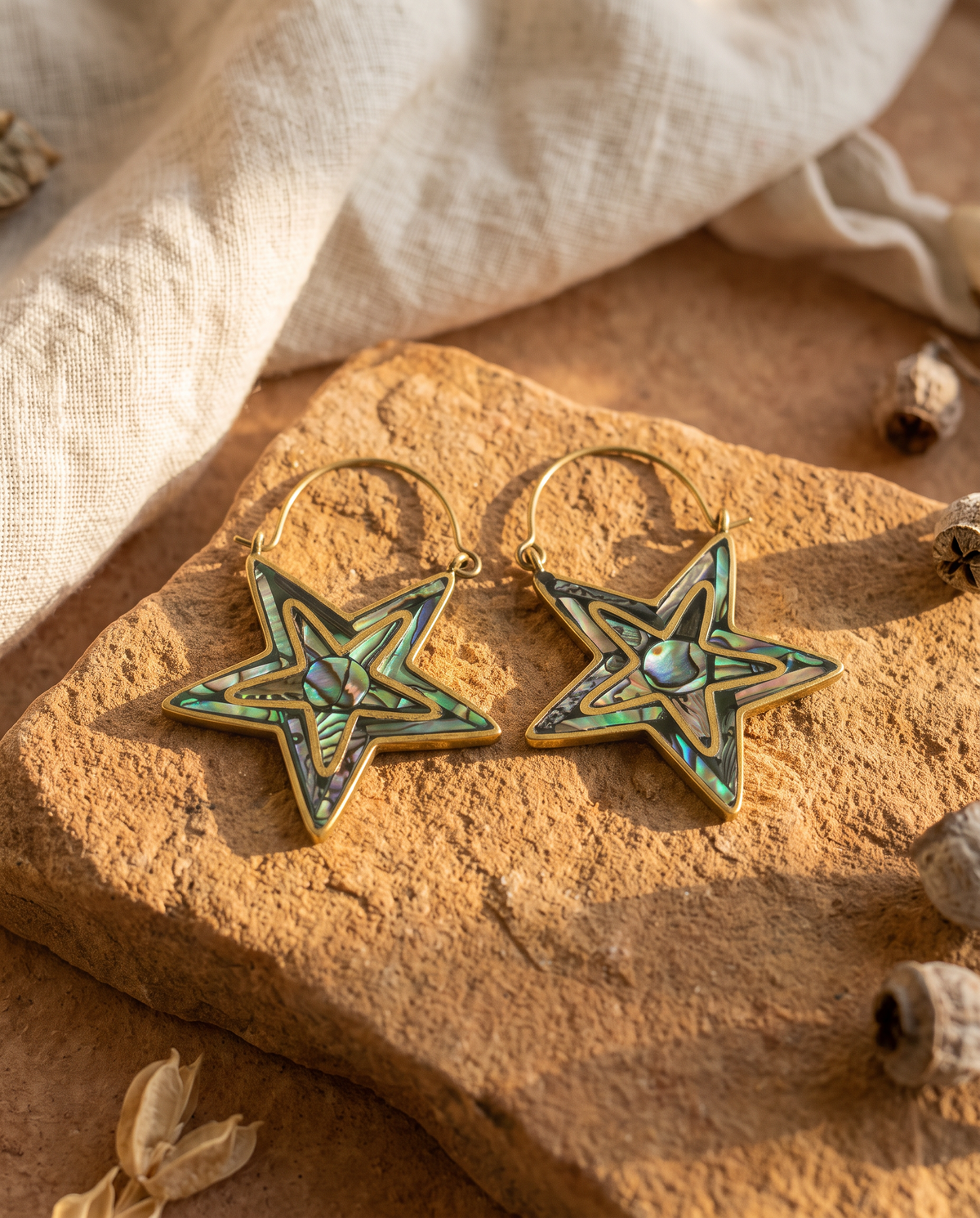 Nova Abalone Star Earrings